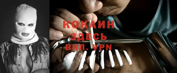 винт Алзамай