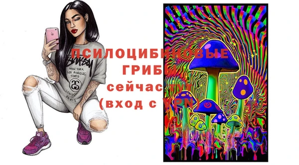 дурь Алексеевка