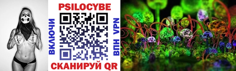 закладка  Рошаль  Галлюциногенные грибы Psilocybe 